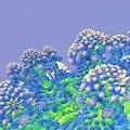 Sacred Arts 3D