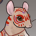Adventure Mouse