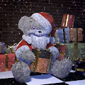 ScareBears Present