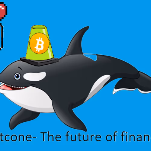 Bitcone Whales