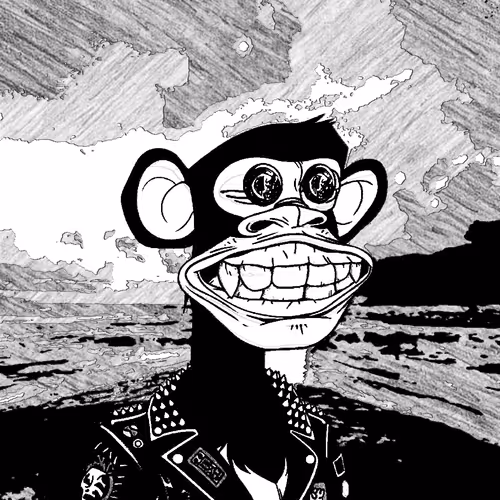 Black and white monkey