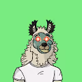 LaxLlamas