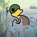 Duck Ponds