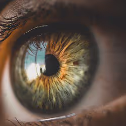 项目媒体占位符