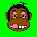 iMonkeys NFT