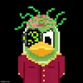 AllBitBirdz