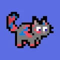 MetaCats Collective