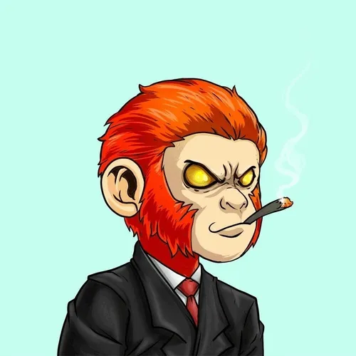 PolygonMonkeys