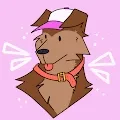 Doodle Collies