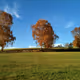 SkysennaFC76