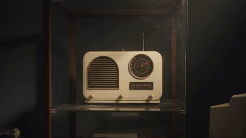 Item #381 Media