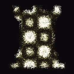 749