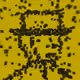 Block Titans #230