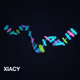 XIACY / Xiaomi