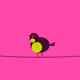 Project Robin #9403