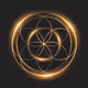 Seed Of Life