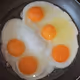 POFC