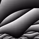SHAPEBC