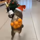 NewYearCat