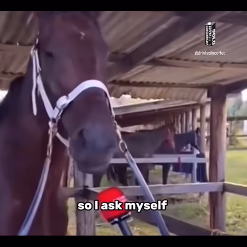 Aso
