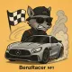 BenzRacer