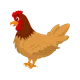 Project w232 chicken