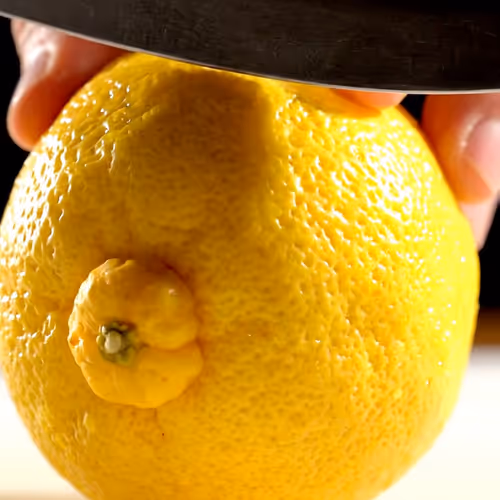 Lemon Sionia