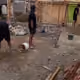 Vyvyybyb