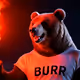 BBURR