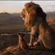 Lion king