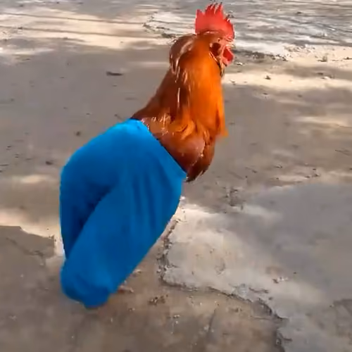 Jieeji