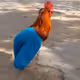 Jieeji