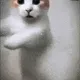 Catdance