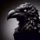 Black Raven