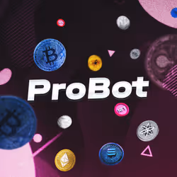 项目媒体占位符