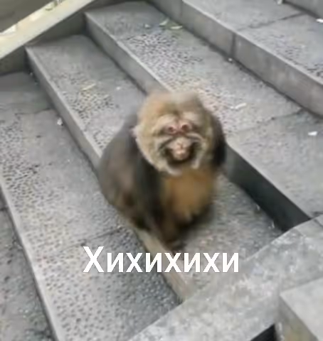 KJDN