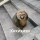 KJDN