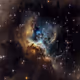 Halcyon