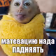 матевацию нада ПАДНЯЯТЬ