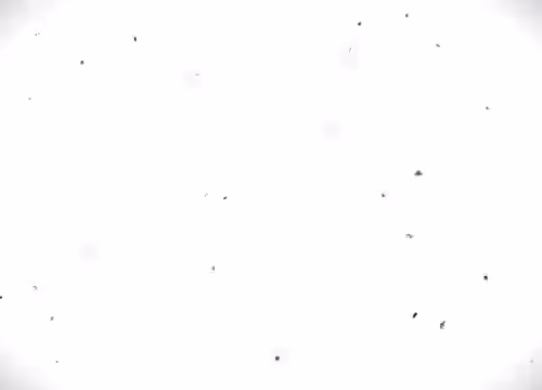 Pilot+TurboKiller+