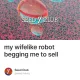 my wifelike robot begging me to sell