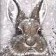winter rabbit