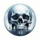 SKULL ZORB