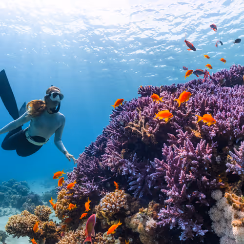 underwater