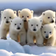 Сute polar friends