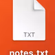 notes.txt