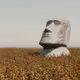 moai