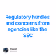 Regulatory hurdles and concerns from agencies like the SEC