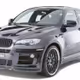 Hamann x6
