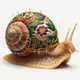 Snail Art